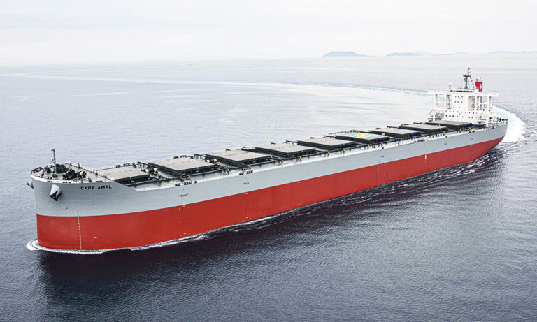 ORE/Bulk Carriers – NIHON SHIPYARD CO.,LTD